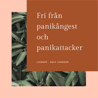 Fri från panikångest och panikattacker - Rolf Jansson