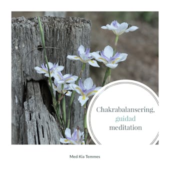 Chakrabalansering, en guidad meditation - Kia Temmes