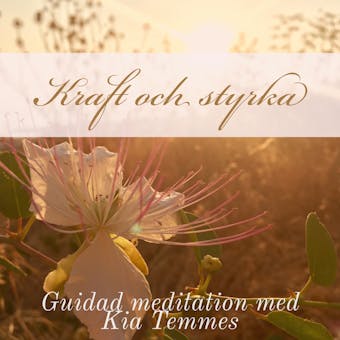 Kraft och styrka - guidad meditation - Kia Temmes