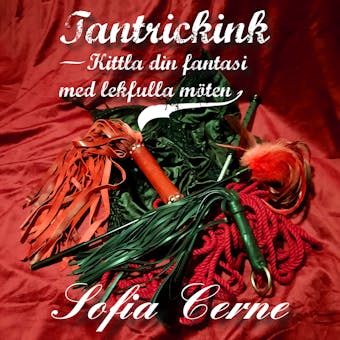 Tantrickink - Kittla din fantasi med lekfulla möten - undefined