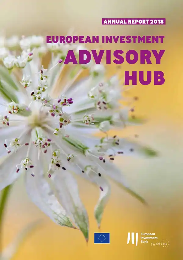 European Investment Bank Annual Report 2018 on the European Investment Advisory Hub