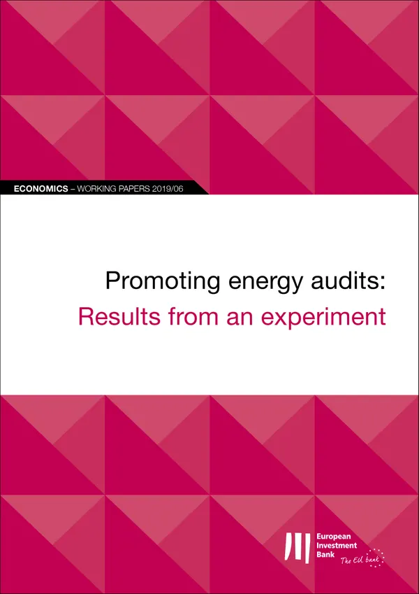 EIB Working Papers 2019/06 - Promoting energy audits: Results from an experiment
