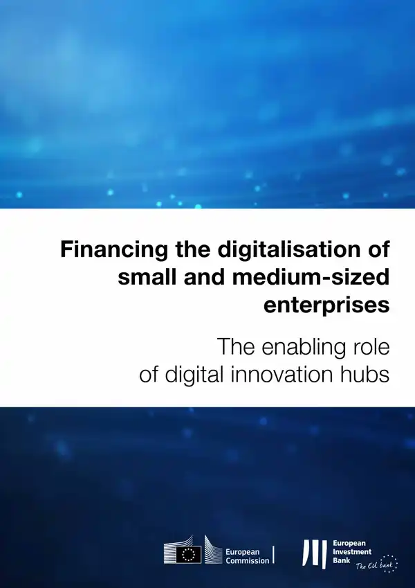 Financing the digitalisation of small and medium-sized enterprises : The enabling role of digital innovation hubs