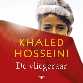 De vliegeraar