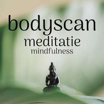 Bodyscan Meditatie Mindfulness - Suzan van der Goes