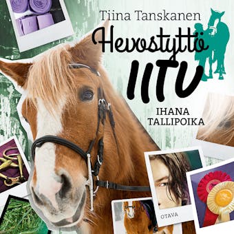 Ihana tallipoika - undefined
