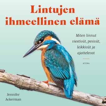 Lintujen ihmeellinen elämä: Miten linnut viestivät, pesivät, leikkivät ja ajattelevat - Jennifer Ackerman