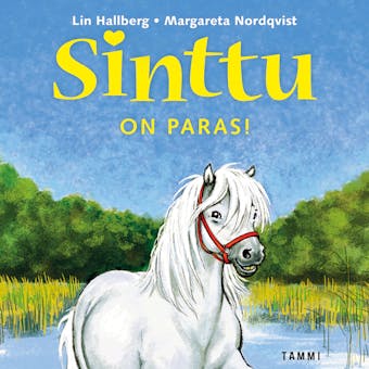 Sinttu on paras! - Lin Hallberg