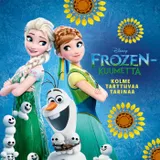 Kansi Frozen-kuumetta