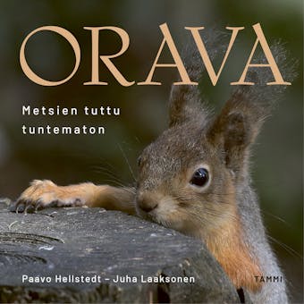Orava: Metsien tuttu tuntematon - Paavo Hellstedt, Juha Laaksonen