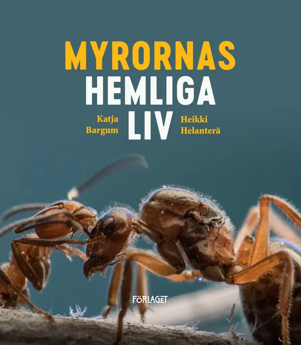 Myrornas hemliga liv