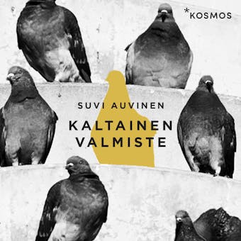Kaltainen valmiste - Suvi Auvinen