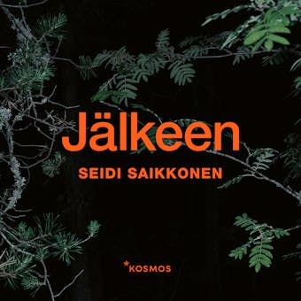 Jälkeen - Seidi Saikkonen