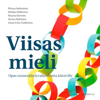 Viisas mieli: Opas tunnesäätelyvaikeuksista kärsiville - Minna Sadeniemi, Maaria Koivisto, Miikka Häkkinen, Teemu Ryhänen, Anna-Liisa Tsokkinen