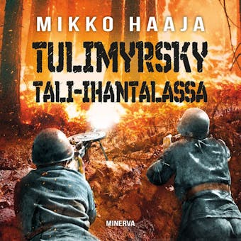 Tulimyrsky Tali-Ihantalassa - undefined