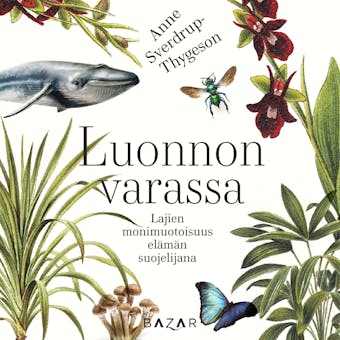 Luonnon varassa: Lajien monimuotoisuus elämän suojelijana - Anne Sverdrup-Thygeson