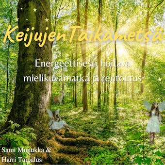Keijujen Taikametsä - Sami Munukka, Harri Taipalus