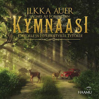Kymnaasi - Ilkka Auer