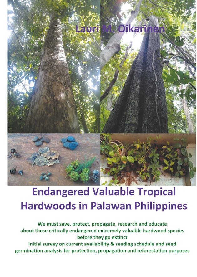 Hardwood Tree Species In The Philippines Nextory hardwood-tree-species-in-the-philippines-nextory