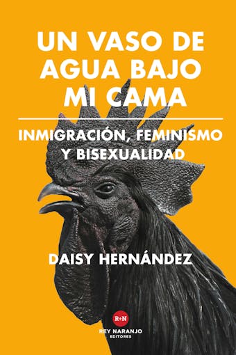 Un vaso de agua bajo mi cama: Inmigración, feminismo y bisexualidad - Daisy Hernández