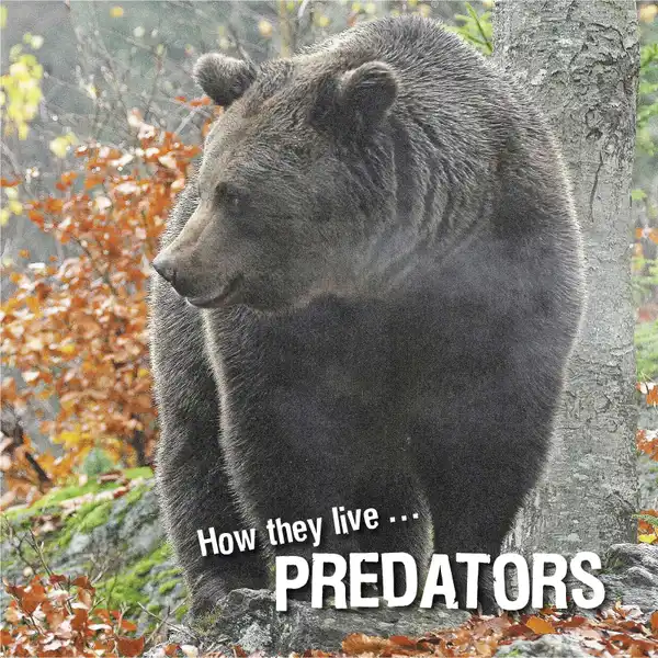 How they live... Predators : Learn All There Is to Know About These Animals!