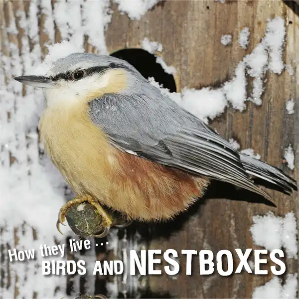 How they live... Birds and nestboxes : Learn All There Is to Know About These Animals!
