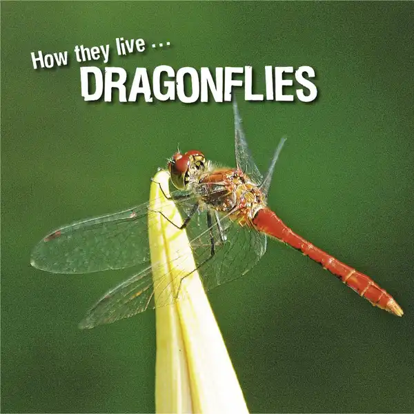 How they live... Dragonflies : Learn All There Is to Know About These Animals!