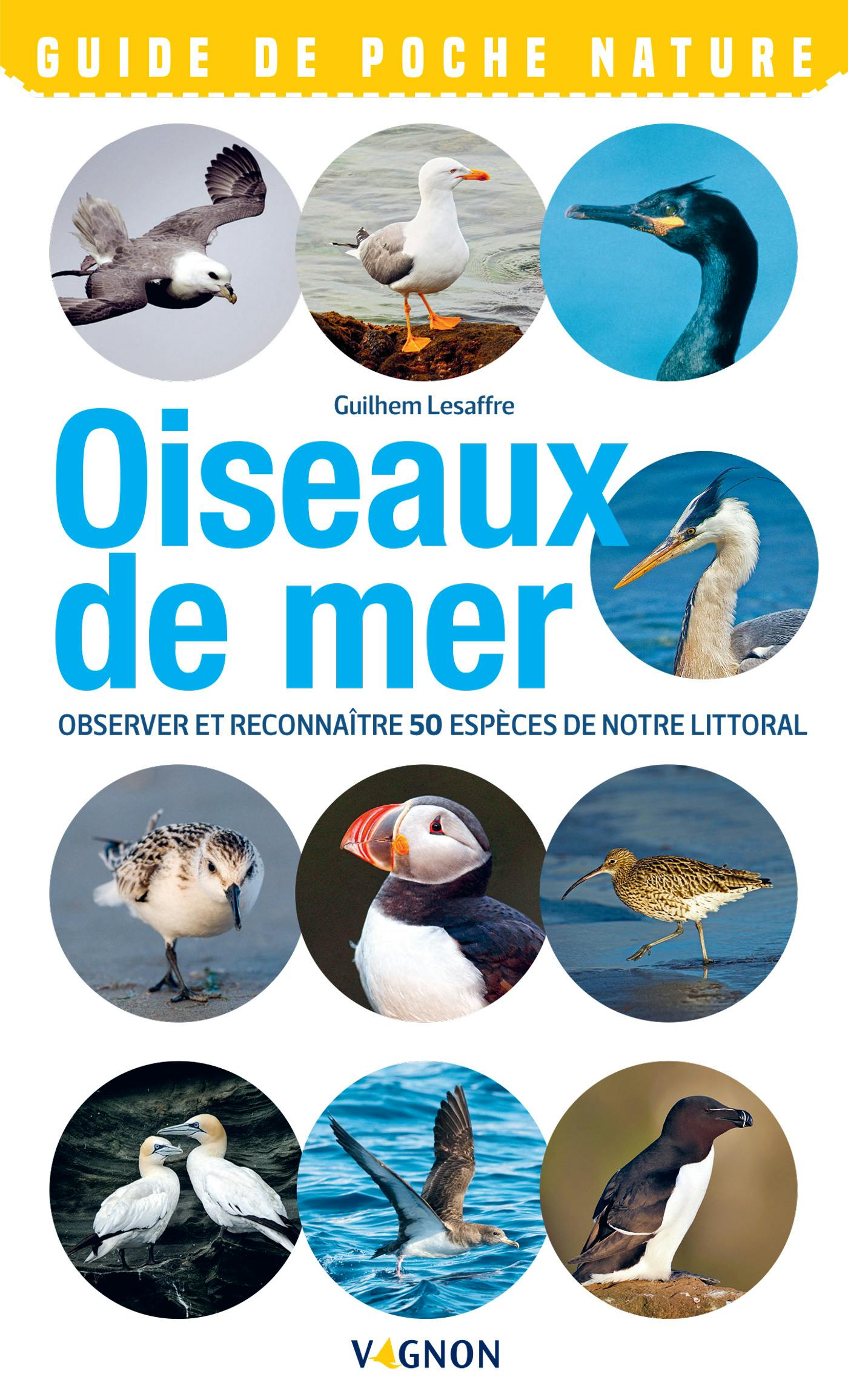 Oiseaux de mer : Observer et reconnaître 50 espèces de notre littoral | Guilhem Lesaffre