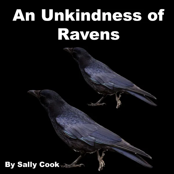 An Unkindness of Ravens : 