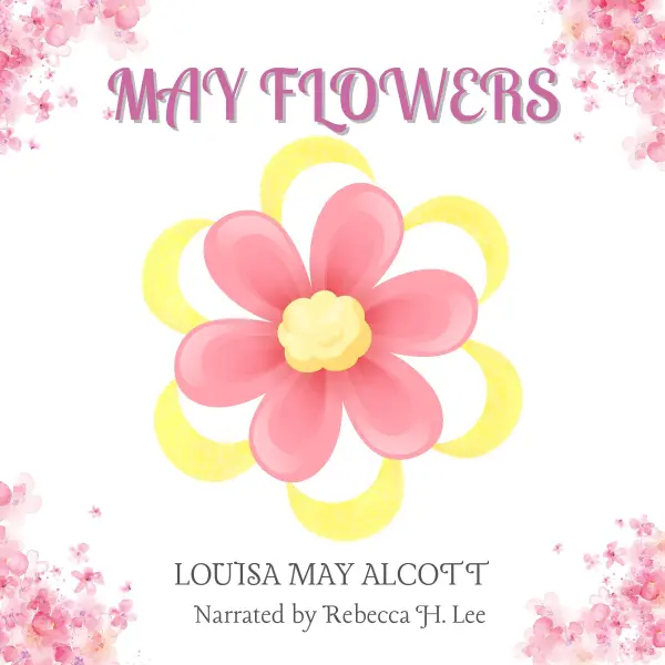 May Flowers : 