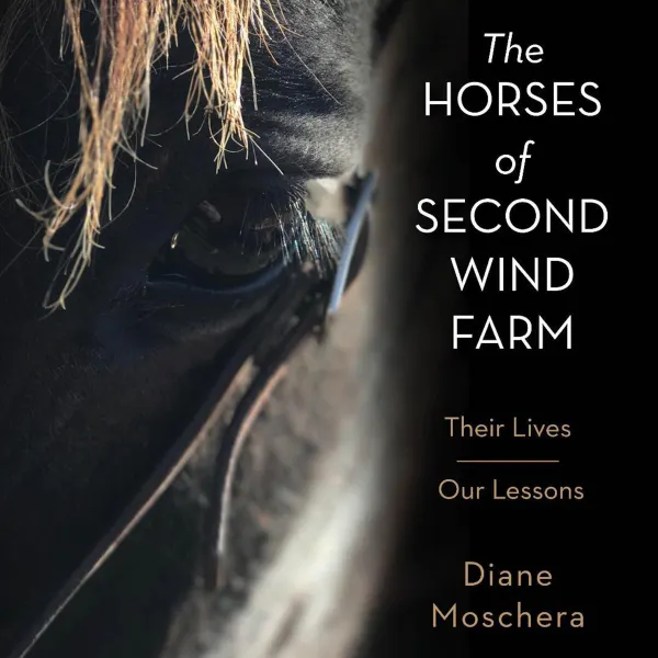The Horses of Second Wind Farm : Their Lives - Our Lessons