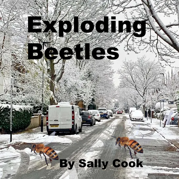 Exploding Beetles : 