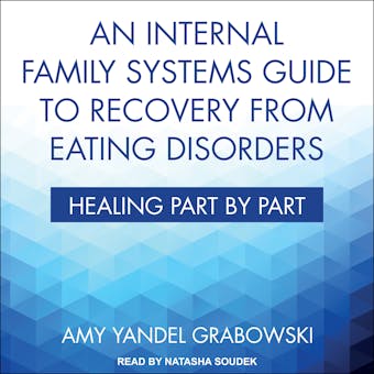 An Internal Family Systems Guide to Recovery from Eating Disorders: Healing Part by Part - Amy Yandel Grabowski