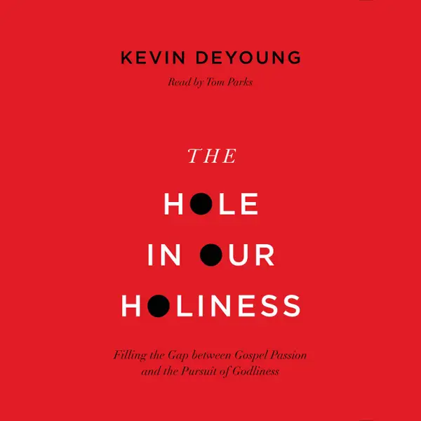 The Hole in Our Holiness : Filling the Gap between Gospel Passion and the Pursuit of Godliness