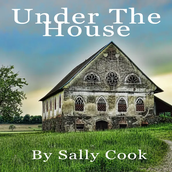 Under The House :