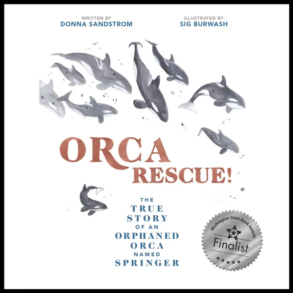 Orca Rescue! The True Story of an Orphaned Orca Named Springer : 