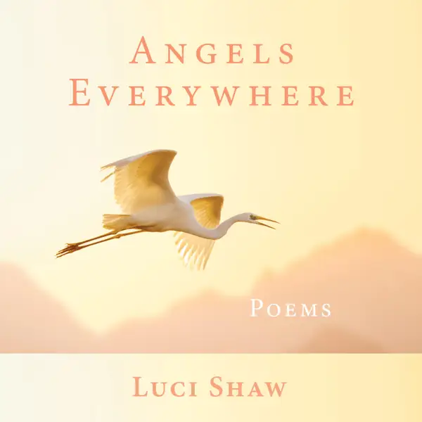Angels Everywhere : Poems