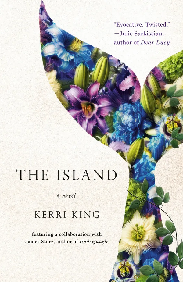THE ISLAND : a novel
